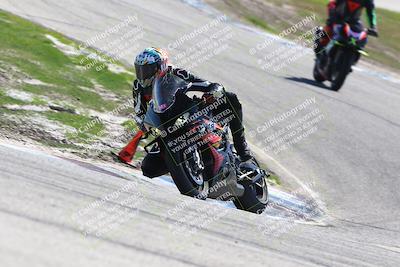 media/Mar-11-2024-Lets Ride (Mon) [[725e8a1c8d]]/A Group/115pm (Off Ramp)/